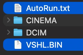 An SD card opened on a computer: the start-up files at the top level,
              beside the CINEMA and DCIM folders