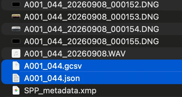 A clip folder: the .gcsv and .json sit with the DNG frames and the WAV